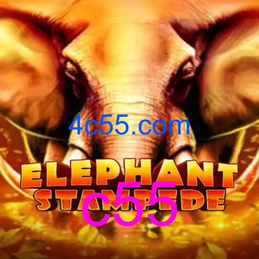 ElephantStampede